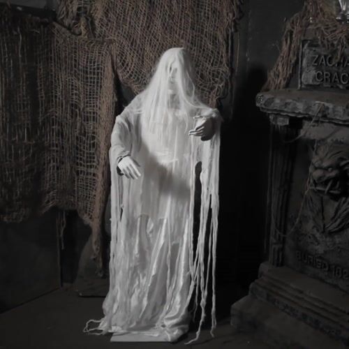 Haunted Hill Farm HHRISEGHSTWM-1FLSA - 12