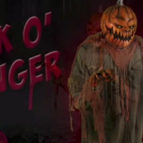 Haunted Hill Farm HHLGPUMP-2FLSA - 12