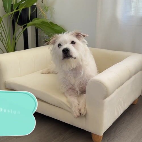 Critter Sitters CSPETBED11-CRM - 1