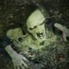 Haunted Hill Farm HHRPR-1LSA - 13