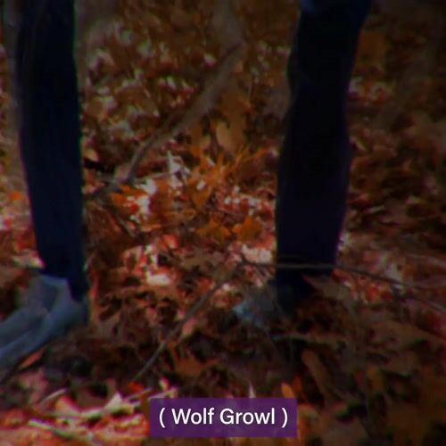 Haunted Hill Farm HHTWRWOLF-1FLSA - 12