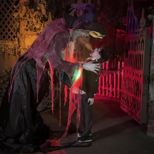 Haunted Hill Farm HHSOULHARVSTR-1FLSA - 12