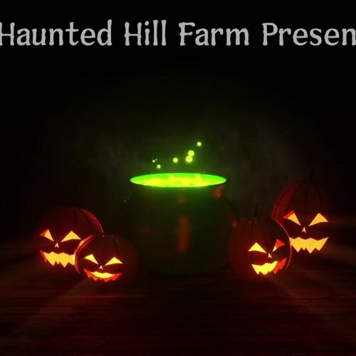 Haunted Hill Farm HHWITCH-33HLSA - 8