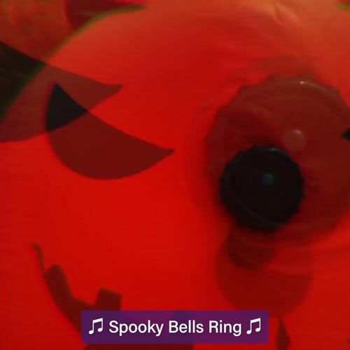 Haunted Hill Farm HIBOOSGN052-L - 12