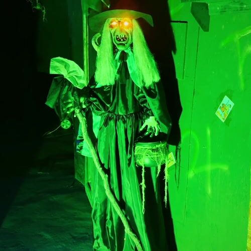 Haunted Hill Farm HHWITCH-47FLSA - 12