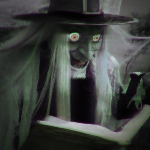 Haunted Hill Farm HHENWITCH-5FLSA - 12