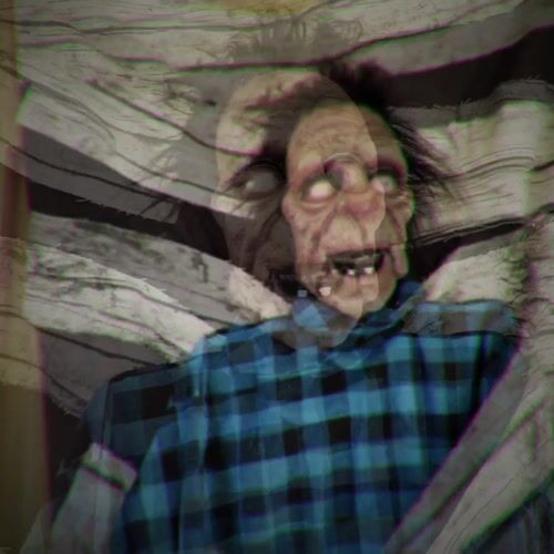 Haunted Hill Farm HHMAN-6HLS - 12