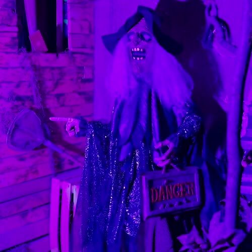 Haunted Hill Farm HHWITCH-50FLSA - 12