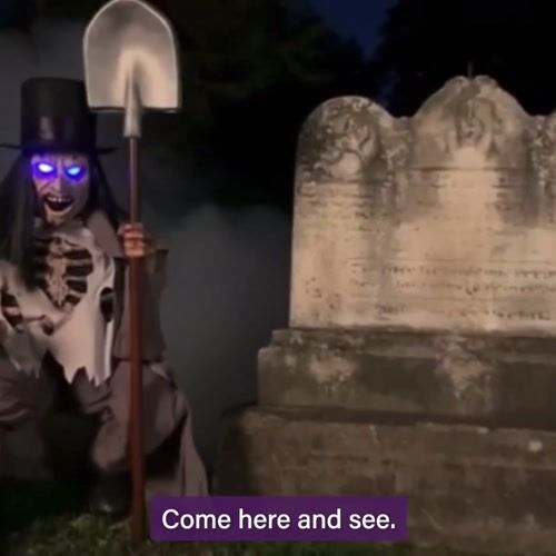 Haunted Hill Farm HHGRVDG-1FLSA - 11