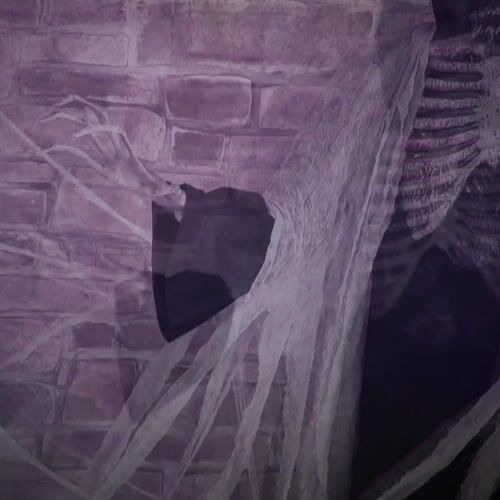 Haunted Hill Farm HHGRVYDSKEL-1FLSA - 12