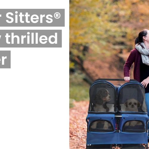 Critter Sitters CSROLLBPCK-BLK1 - 12