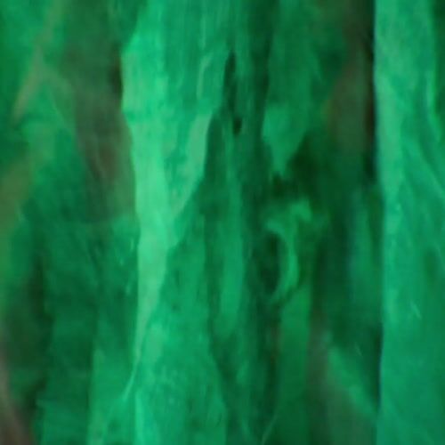 Haunted Hill Farm HHWITCH-44FLSA - 13