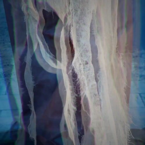 Haunted Hill Farm HHWITCH-41FLSA - 13