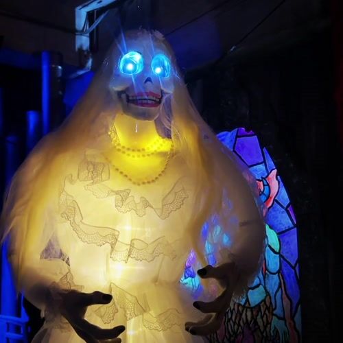 Haunted Hill Farm HHBRIDE-9HLSA - 12