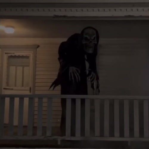 Haunted Hill Farm HHHNCHRPR-1FLSA - 12