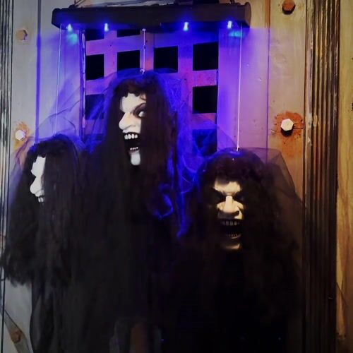 Haunted Hill Farm HHBRIDE-8HLSA - 12