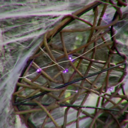 Haunted Hill Farm HHWOOD3BAT-1BR - 12