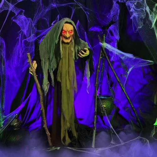 Haunted Hill Farm HHWITCH-13FLSA - 15