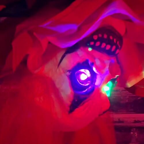 Haunted Hill Farm HHCLOWN-24HLSA - 12