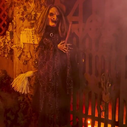 Haunted Hill Farm HHWITCH-49HLSA - 12