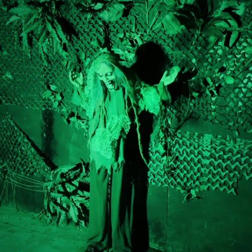 Haunted Hill Farm HHZOMB-5FLSA - 12