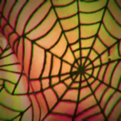 Haunted Hill Farm HHWITCH-40FLSA - 13