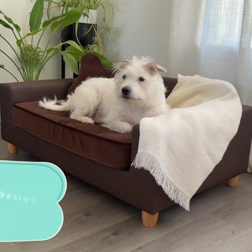 Critter Sitters CSPETBED12-BRWN - 1