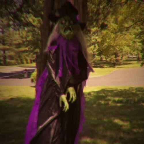 Haunted Hill Farm HHWITCH-39HLS - 12