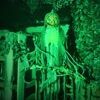 Haunted Hill Farm HHPUMP-8FLSA - 12