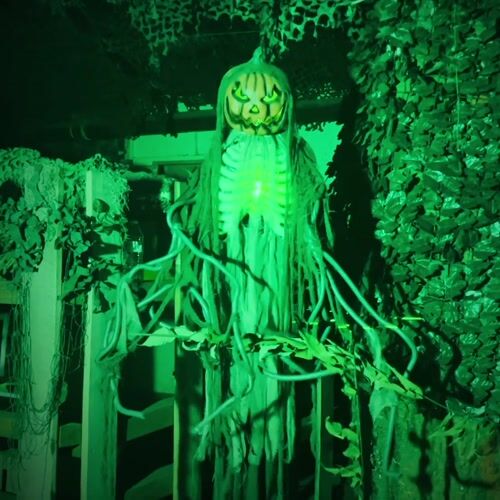 Haunted Hill Farm HHPUMP-8FLSA - 12