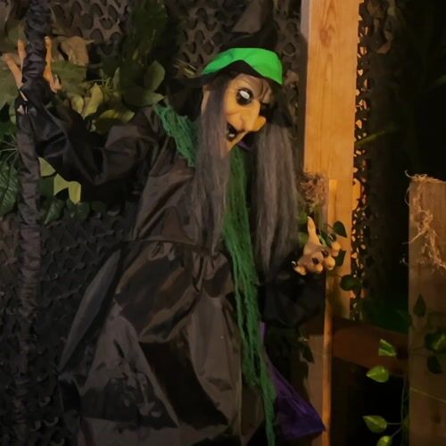 Haunted Hill Farm HHWITCH-52FLS - 12