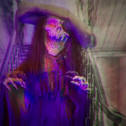 Haunted Hill Farm HHPIRATE-1FLSA - 13