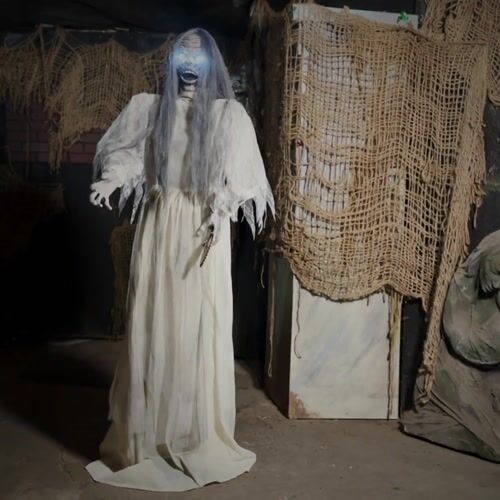 Haunted Hill Farm HHLADY-9FLSA - 12