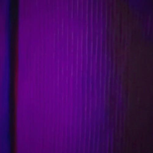 Haunted Hill Farm HHTREE-6LS - 13