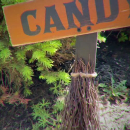 Haunted Hill Farm HHWOODBRM-1BL - 12