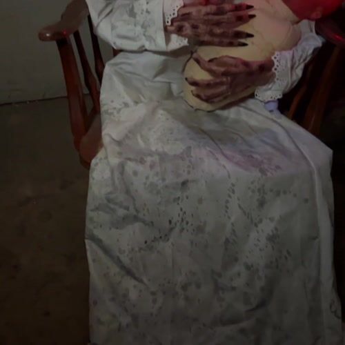 Haunted Hill Farm HHGHSTLYGDE-5FLSA - 13