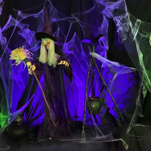 Haunted Hill Farm HHWITCH-5FLSA - 15