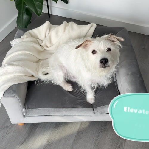 Critter Sitters CSPETBED11-GRY - 12