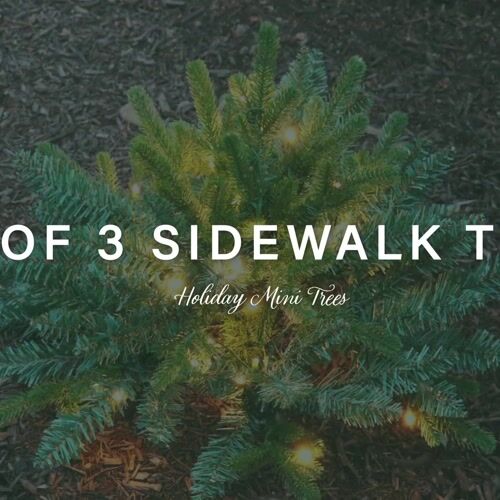 Fraser Hill Farm FFPTI018-5GR - 12