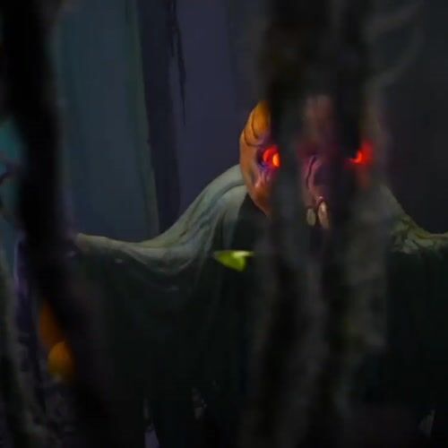 Haunted Hill Farm HHGROUNDJACK-1FLSA - 12