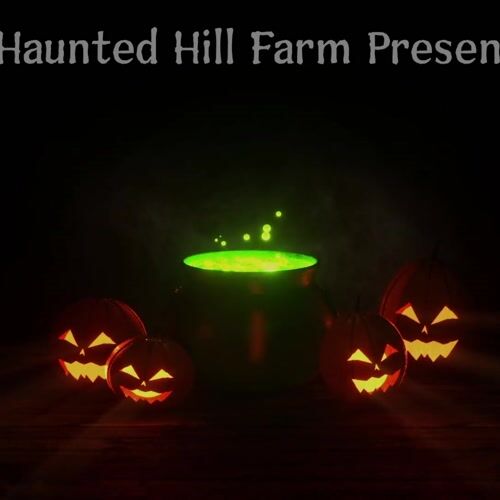 Haunted Hill Farm HHWITCH-33HLSA - 7