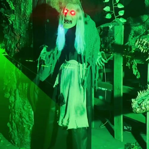 Haunted Hill Farm HHWITCH-46FLSA - 12