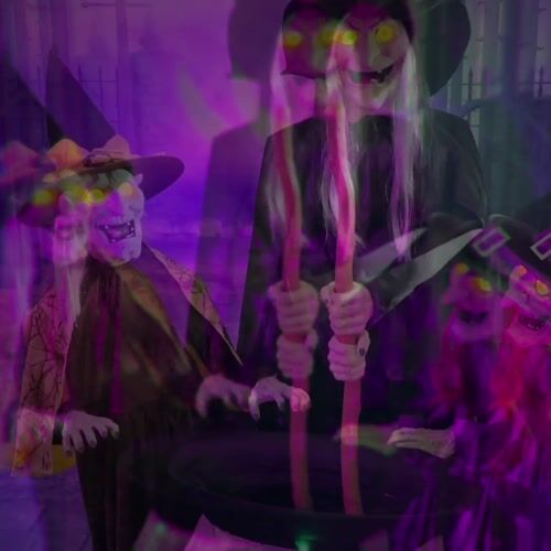 Haunted Hill Farm HHWITCHSTR-2FLSA - 12