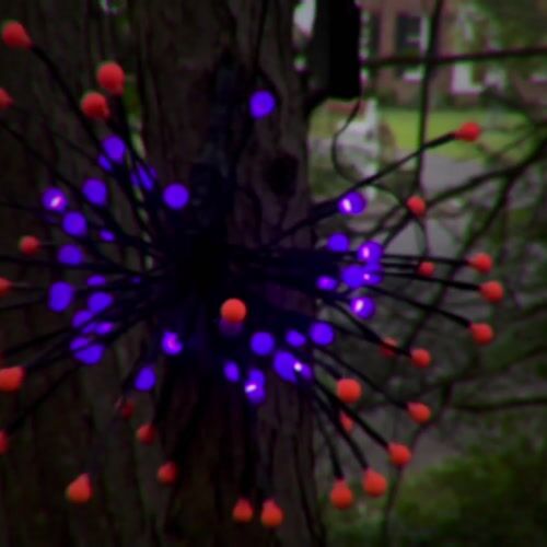 Haunted Hill Farm FFHELED016-STAR-MLT - 12