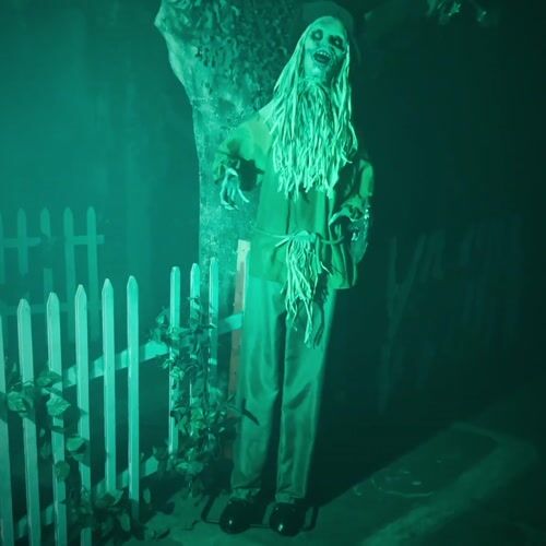 Haunted Hill Farm HHSCR-7FLSA - 12