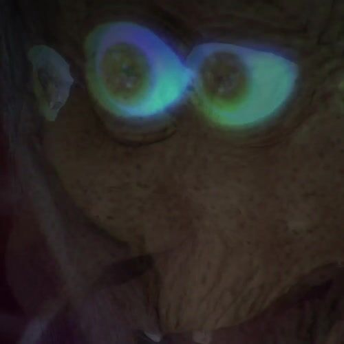 Haunted Hill Farm HHFTNWITCH-6FLSA - 12