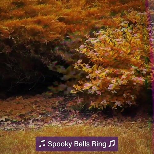 Haunted Hill Farm HIBOOSGN041-L - 12