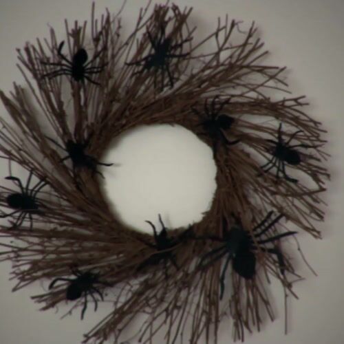 Haunted Hill Farm HHWRTHSPD-1BR - 12