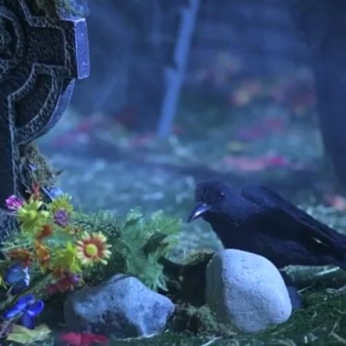 Haunted Hill Farm HHSTMBGRL-1FLSA - 12