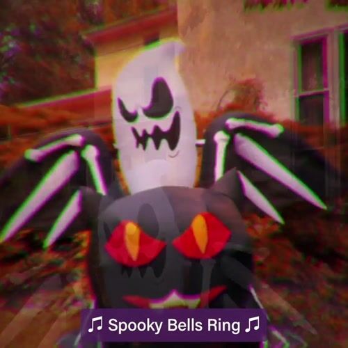 Haunted Hill Farm HIBCATS052-L - 12